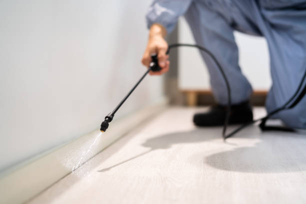 Licensed Termite Control service in Richfield, UT - Show Me Pest Control