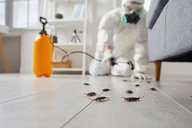 Commercial Kitchen Cockroach Control in Richfield